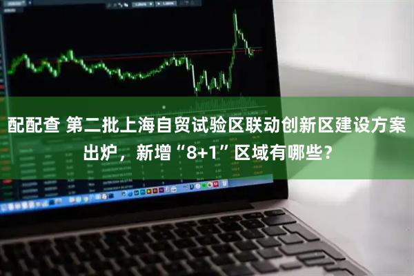 配配查 第二批上海自贸试验区联动创新区建设方案出炉，新增“8+1”区域有哪些？